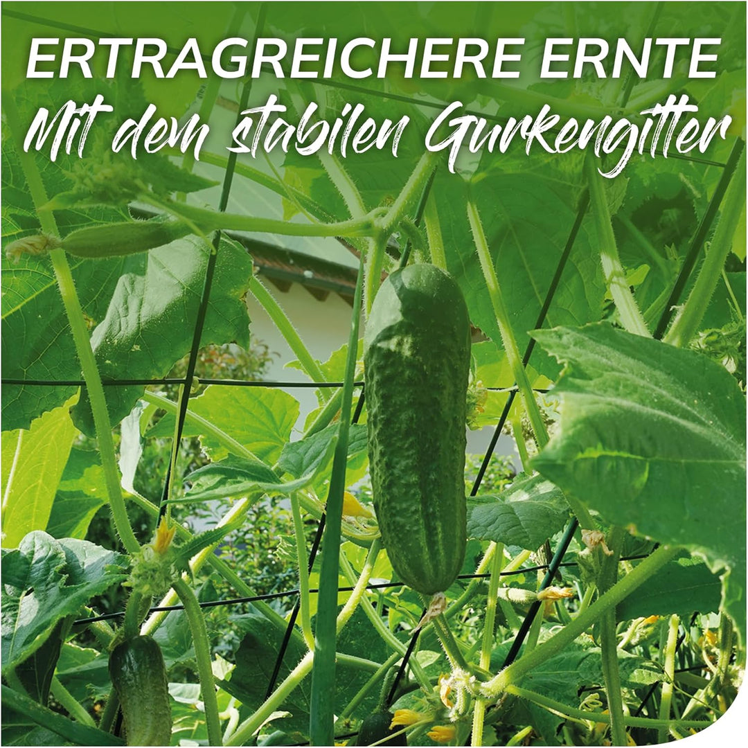 bellissa 1 Stück - Gurken-Gitter und Rankhilfe für Gurkenpflanzen und Gemüse – Rank- für Topfpflanze