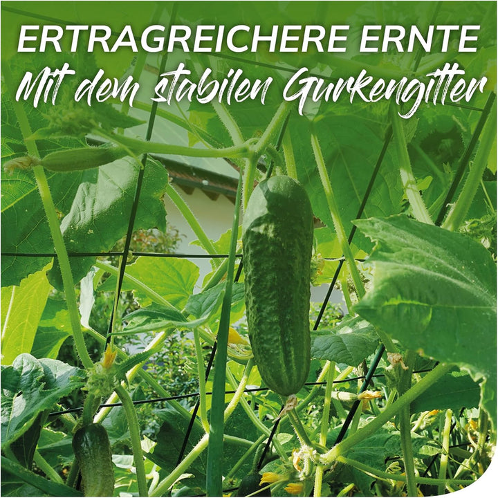 bellissa 1 Stück - Gurken-Gitter und Rankhilfe für Gurkenpflanzen und Gemüse – Rank- für Topfpflanze