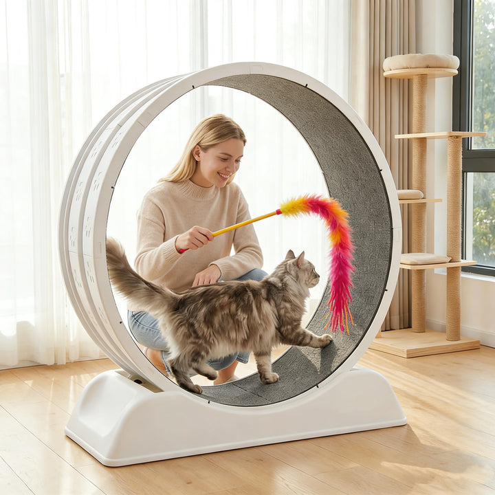 80 * 80cm Zoll Katzenräder für Indoor-Katzen, Plastik Katze Übung Laufband Rad mit Teppich Startbahn