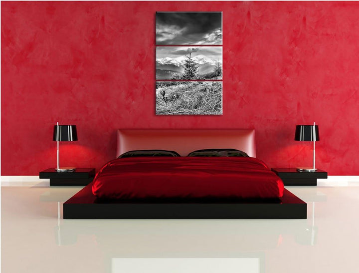 Pixxprint Monocrome, Krokusse auf Hochalmwiese in Alpen 3-Teiler Leinwandbild 120x80 Bild auf Leinwa