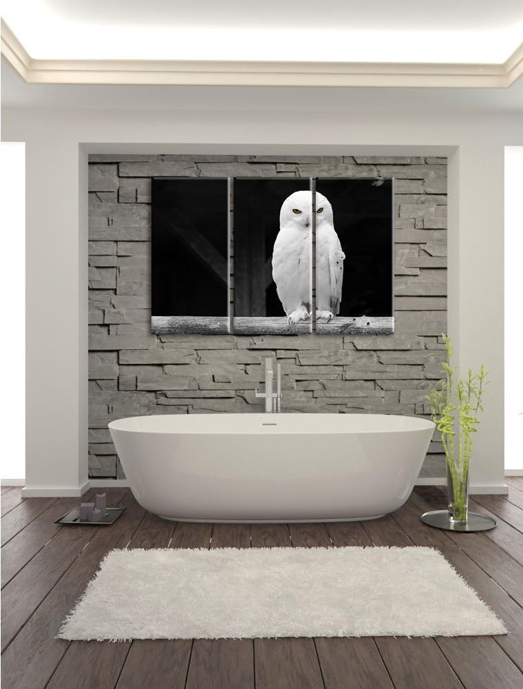 Pixxprint Weisse Schneeeule als Leinwandbild | Grösse: 3 Teilig (120x80) | Wandbild| Kunstdruck | fe
