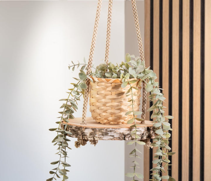 Grosse Holzscheiben in 20 cm (18-22cm) Durchmesser für DIY Basteln und Dekorieren - 3 Stück runde Bi