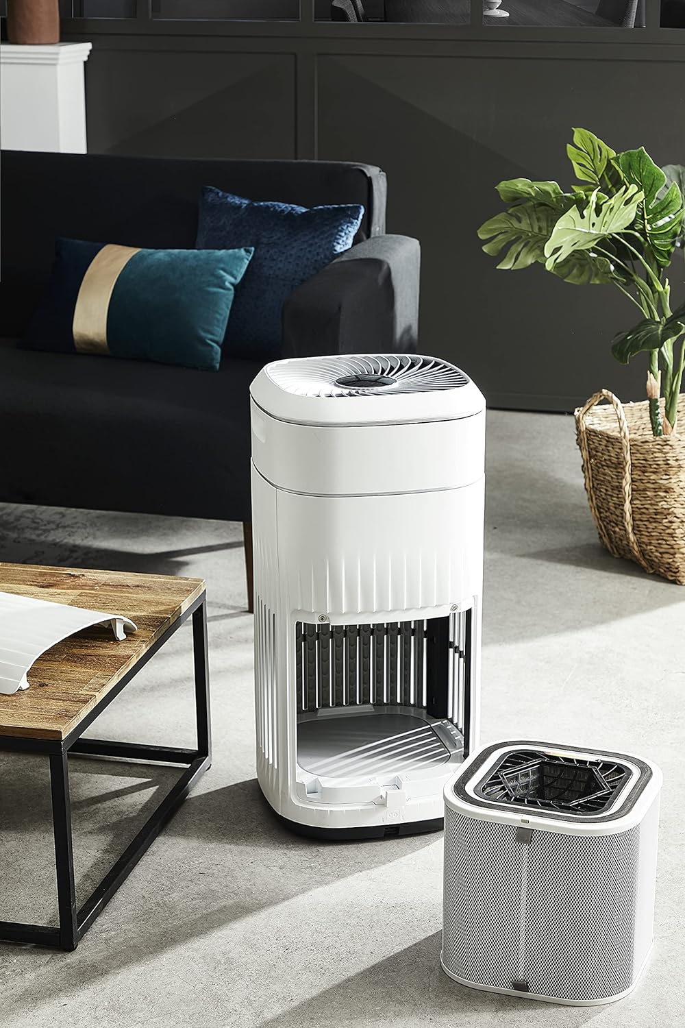 Rowenta XD6084 Pure Home NanoCapture-Ersatzfilter | passend für Luftreiniger Rowenta Pure Home PU808