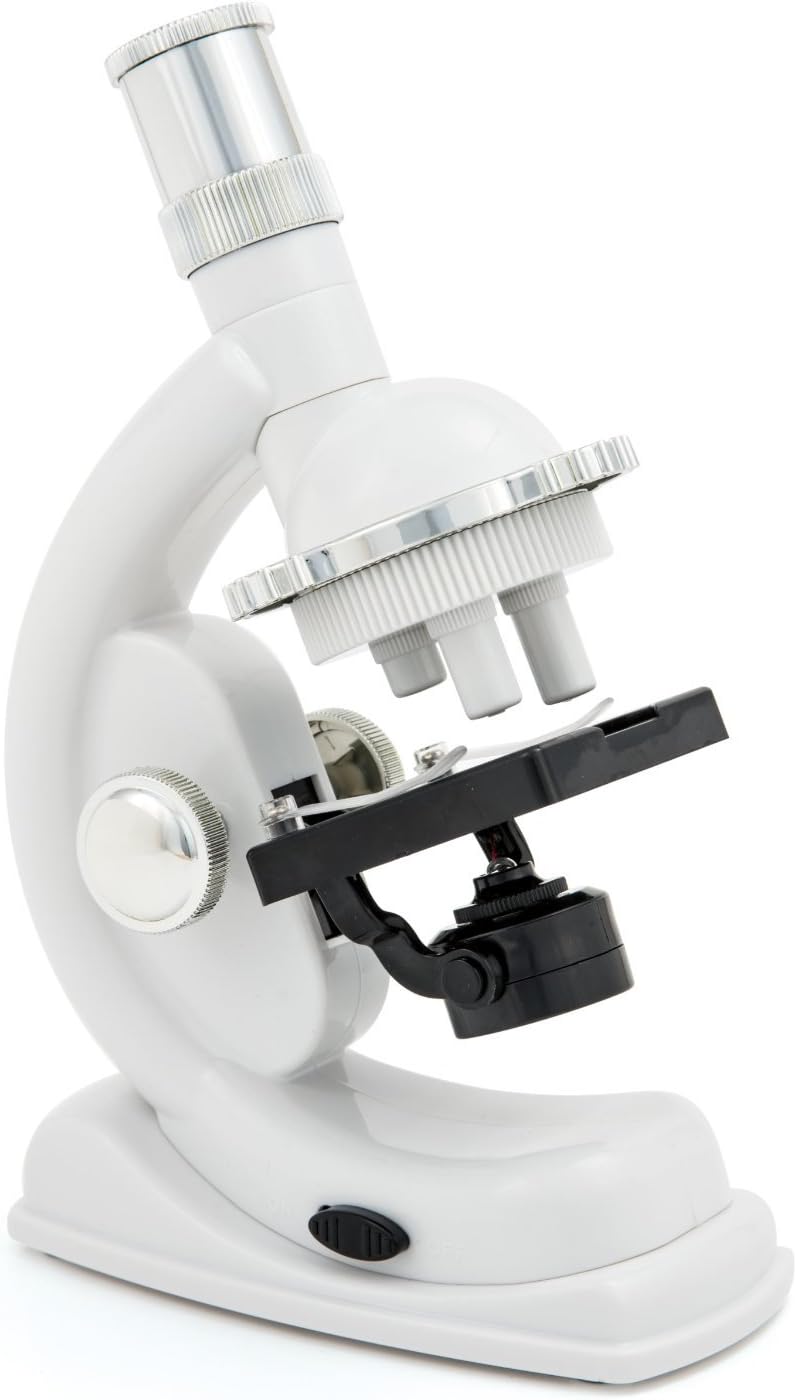 Clementoni 69804 Natur unter dem Mikroskop, Galileo Experimentierkasten + Kristalle selbst züchten M
