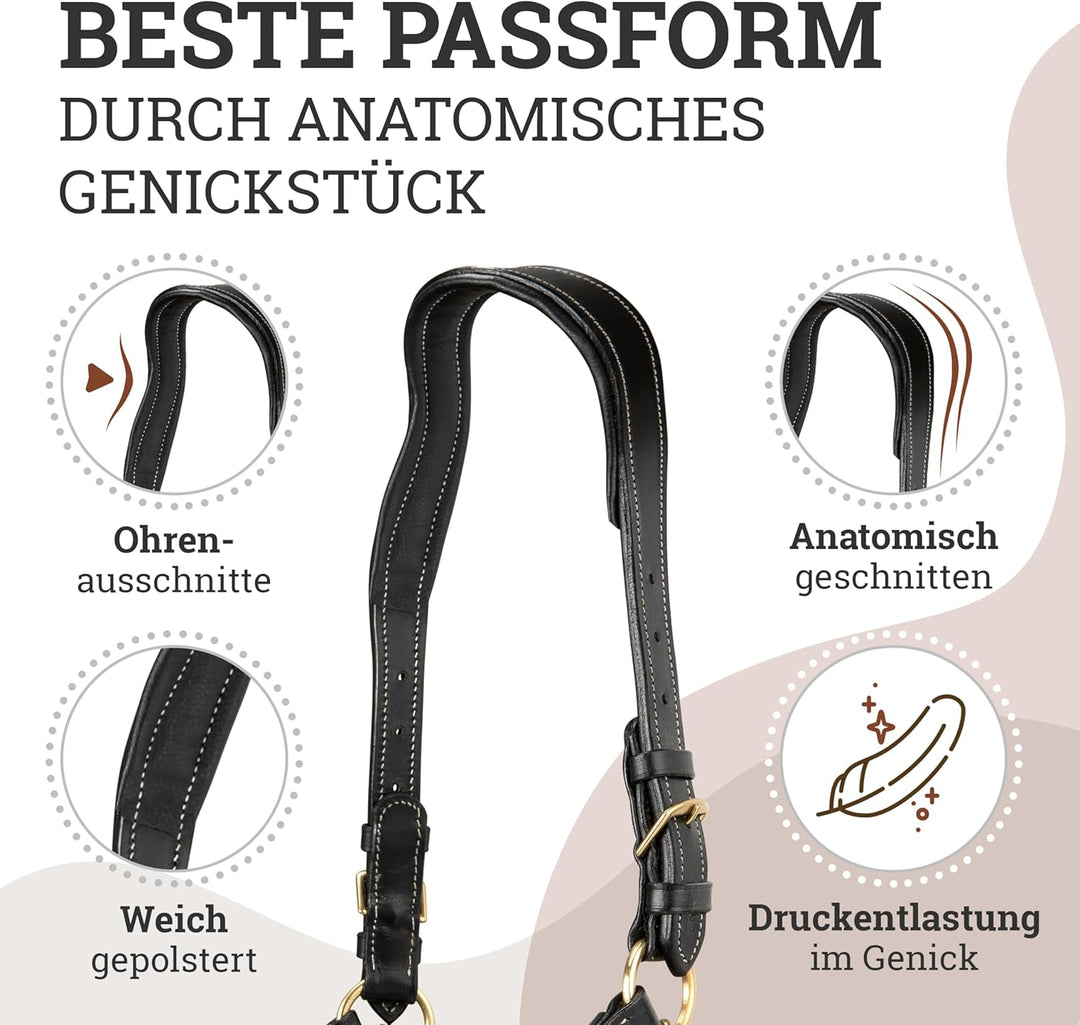 Esposita anatomisches Lederhalfter Deluxe Halfter aus Leder für Pferde Stallhalfter Pferdehalfter -