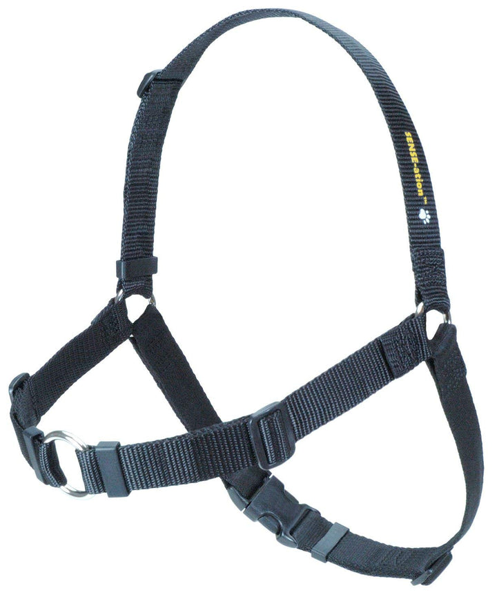 Erziehungsgeschirr für temperamentvolle Hunde – Das SENSEation Harness Erziehungshalsband für Hunde,