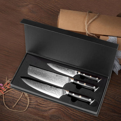 PAUDIN 3-tlg Küchenmesser Set, Damastmesser Set aus 67 Schichten VG10 Damaststahl mit G10 Griff – Ch