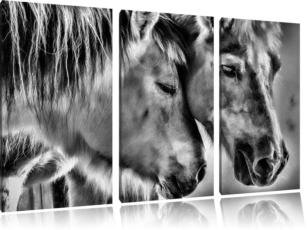 Pixxprint Zwei liebevolle Pferde als Leinwandbild/Grösse: 3 Teilig (120x80) cm/Wandbild/Kunstdruck/f