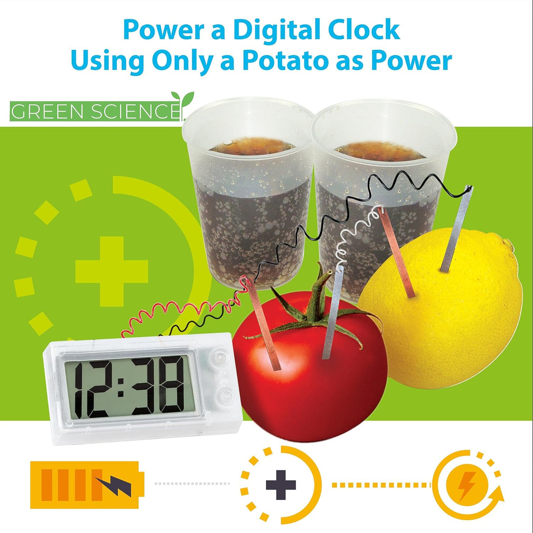 4M Green Science Potato Clock, Potato Clock