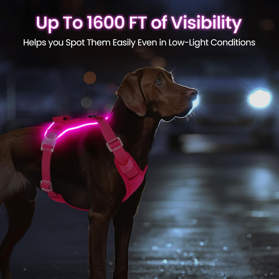 Light Up Dog Hundegeschirr Leuchtend LED Aufladbar - Leuchtgeschirr Leuchtend für Klein Mittelgrosse