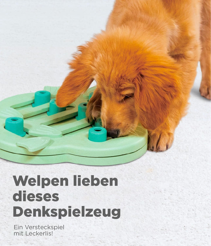 Outward Hound Nina Ottosson Puppy Hide n' Slide - Interaktives Leckerli-Denkspielzeug für Hunde - Gr