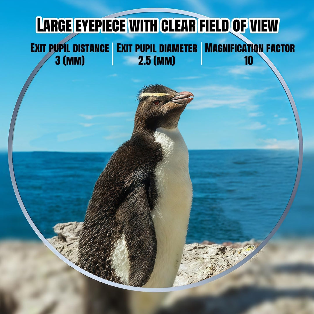 10x25 Kompaktes Fernglas,Faltbares Ferngla,Fernglas für Erwachsene und Kinder,Grosses Okular Einfach