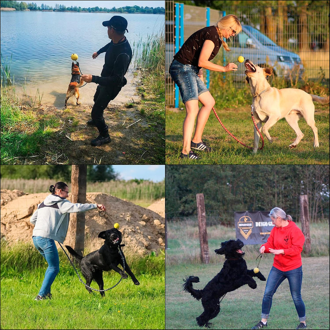 Dingo Gear Ball für Training 