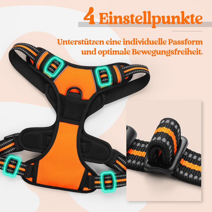 rabbitgoo Hundegeschirr Mittelgrosse Hunde Anti Zug Geschirr Hund mit Kontrolle No Pull Verstellbar
