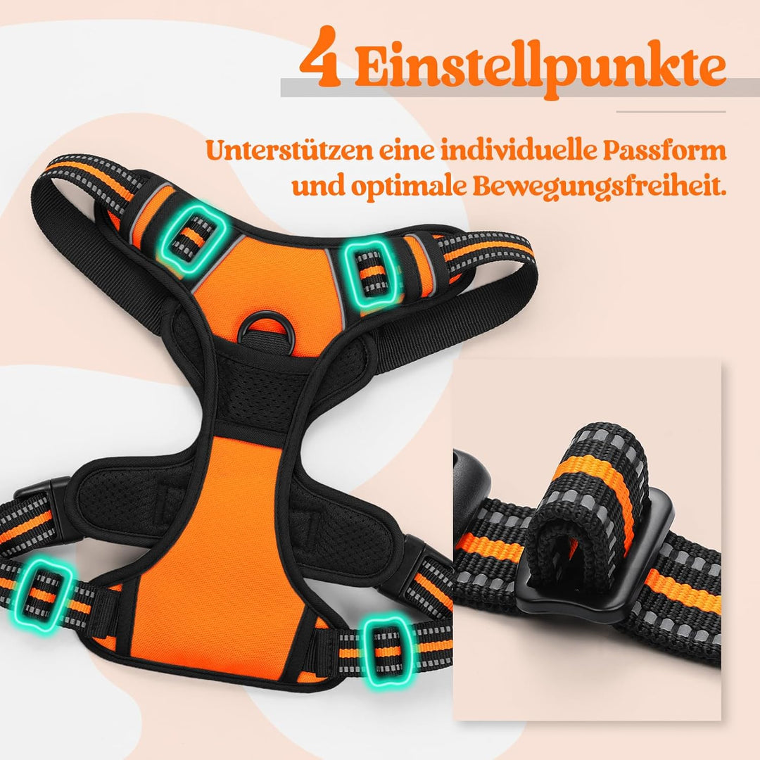 rabbitgoo Hundegeschirr Mittelgrosse Hunde Anti Zug Geschirr Hund mit Kontrolle No Pull Verstellbar