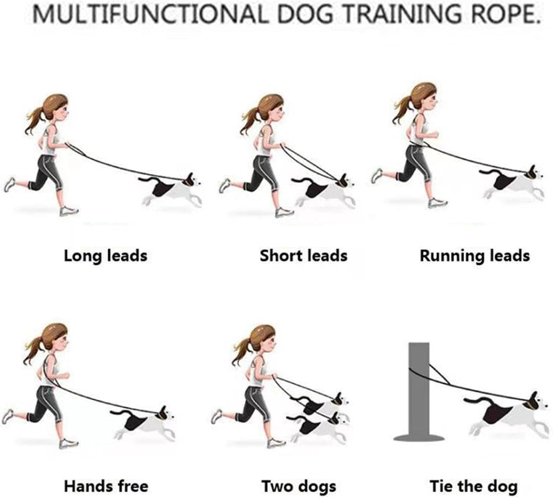 Hundegeschirr-Set, mittelgrosse Hunde, Haustiergeschirr, Halsband und Leine, Hundegeschirr mit Leine