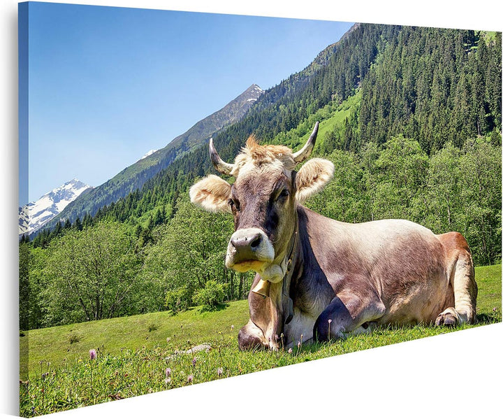 islandburner Bild auf Leinwand Kuh Europäische Alpen Bilder Wandbilder Poster, Leinwand 80x40cm