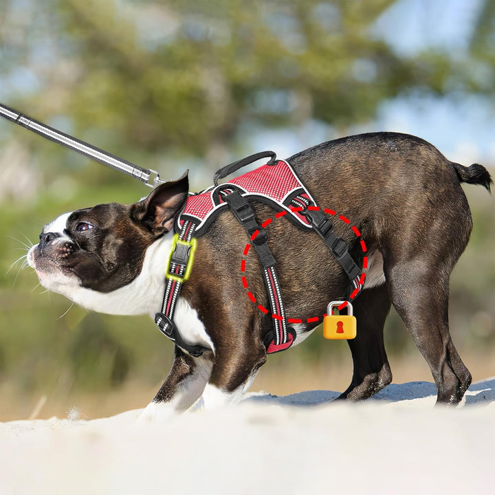 HEELE Hundegeschirr, Ausbruchsicher, Schnalle im Halsbereich, Reflektierend, Brustgeschirr mit Robus