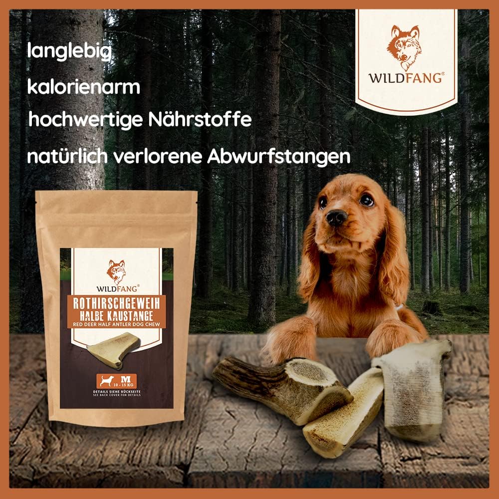 Wildfang® halbe Kaustange vom Rothirsch Geweih Hunde Kausnack | Abwurfstange aus EU | Zahnpflege | H