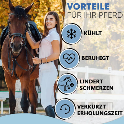 ICEHOF Kühl-Gamaschen Pferd (Fester Halt) - Angenehmes Obermaterial - 2 abnehmbare Kühlakkus und Ban