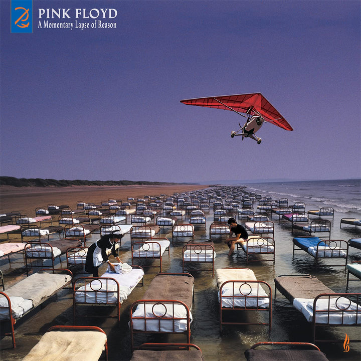 A Momentary Lapse Of Reason [Vinyl LP], Vinyl