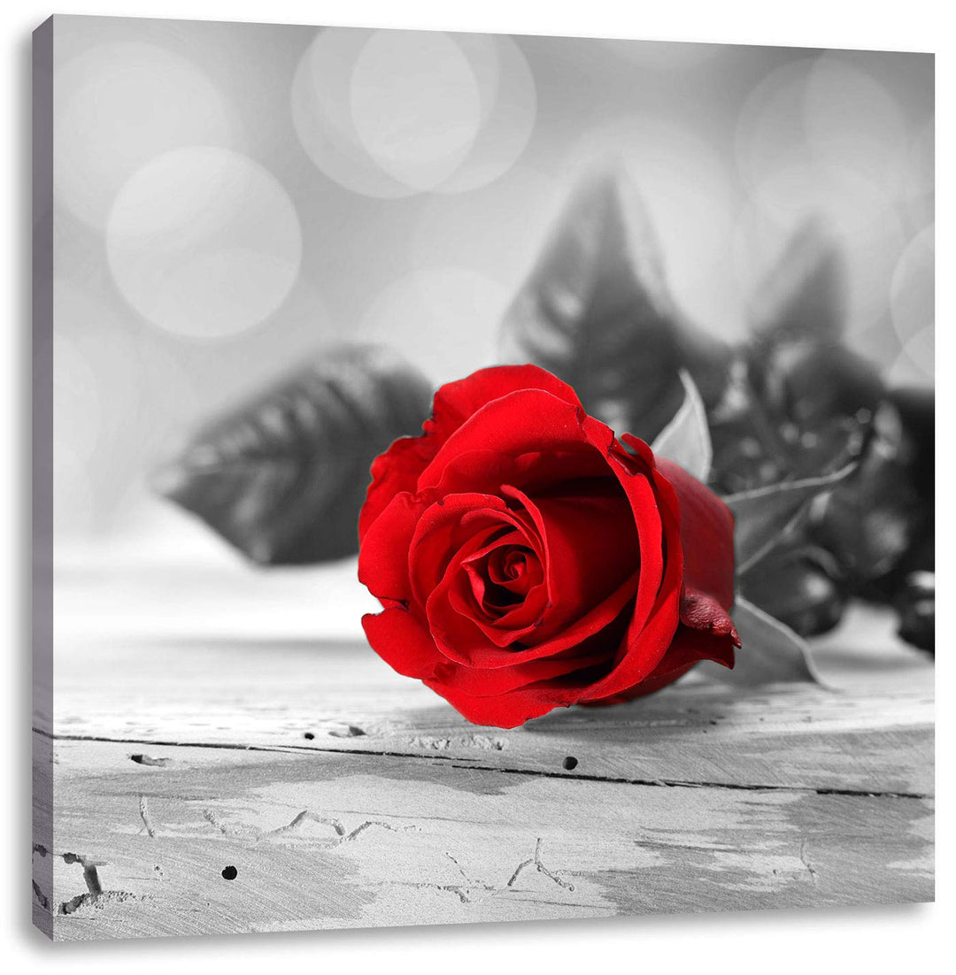 Pixxprint schöne Rose auf altem Holztisch schwarz/weiss, Format: 70x70 auf Leinwand, 70x70