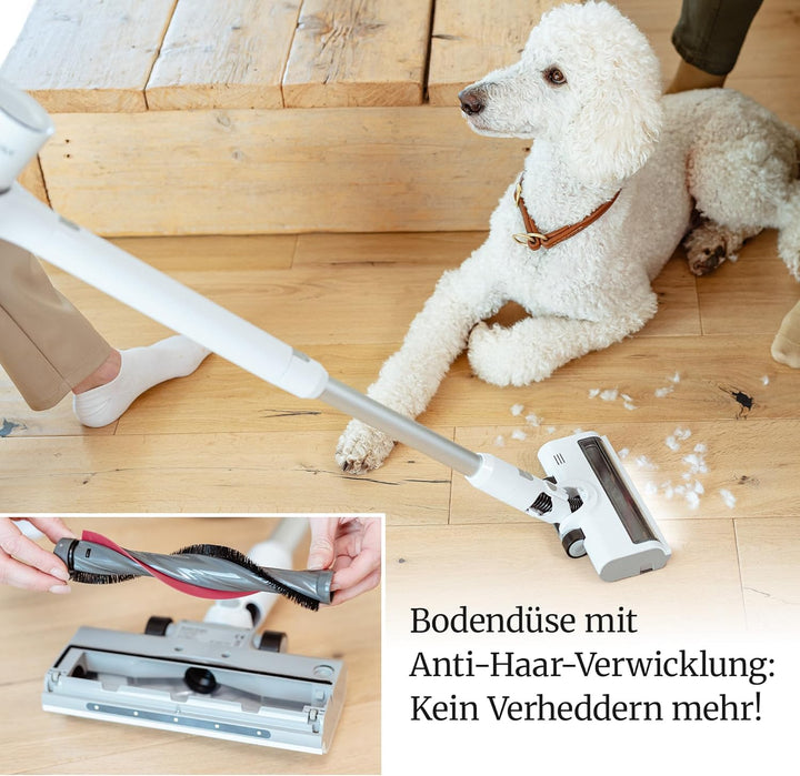 BLAXX LVX Akku Staubsauger kabellos – 60 Min Laufzeit, Akkustaubsauger mit 2 Akkus & Schnelllader, b