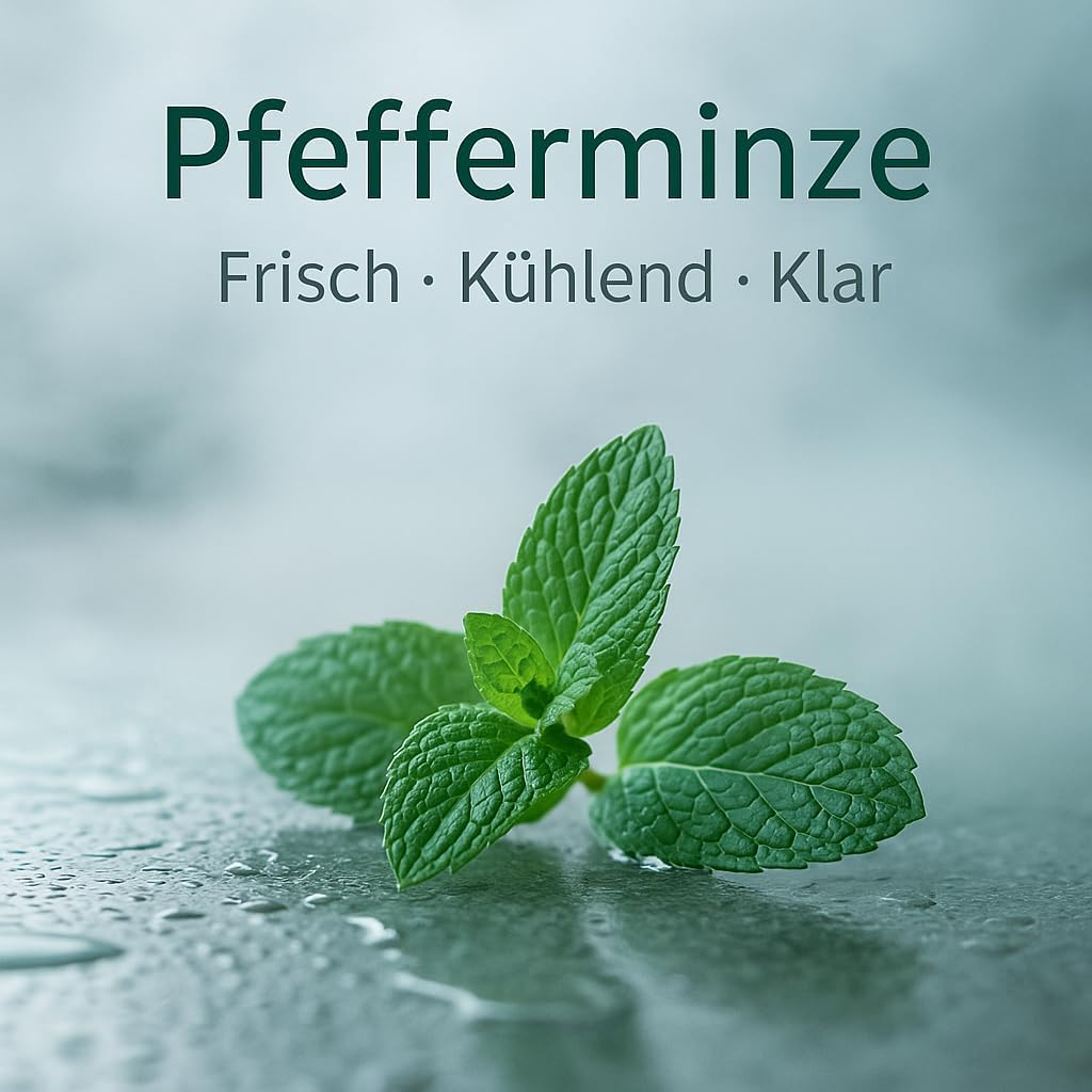 Dufte Momente | Saunaduft Konzentrat Englische Pfefferminze 250ml | mit naturreinen und natürlichen