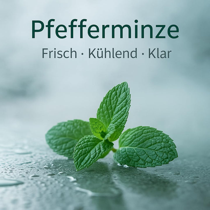 Dufte Momente | Saunaduft Konzentrat Englische Pfefferminze 250ml | mit naturreinen und natürlichen