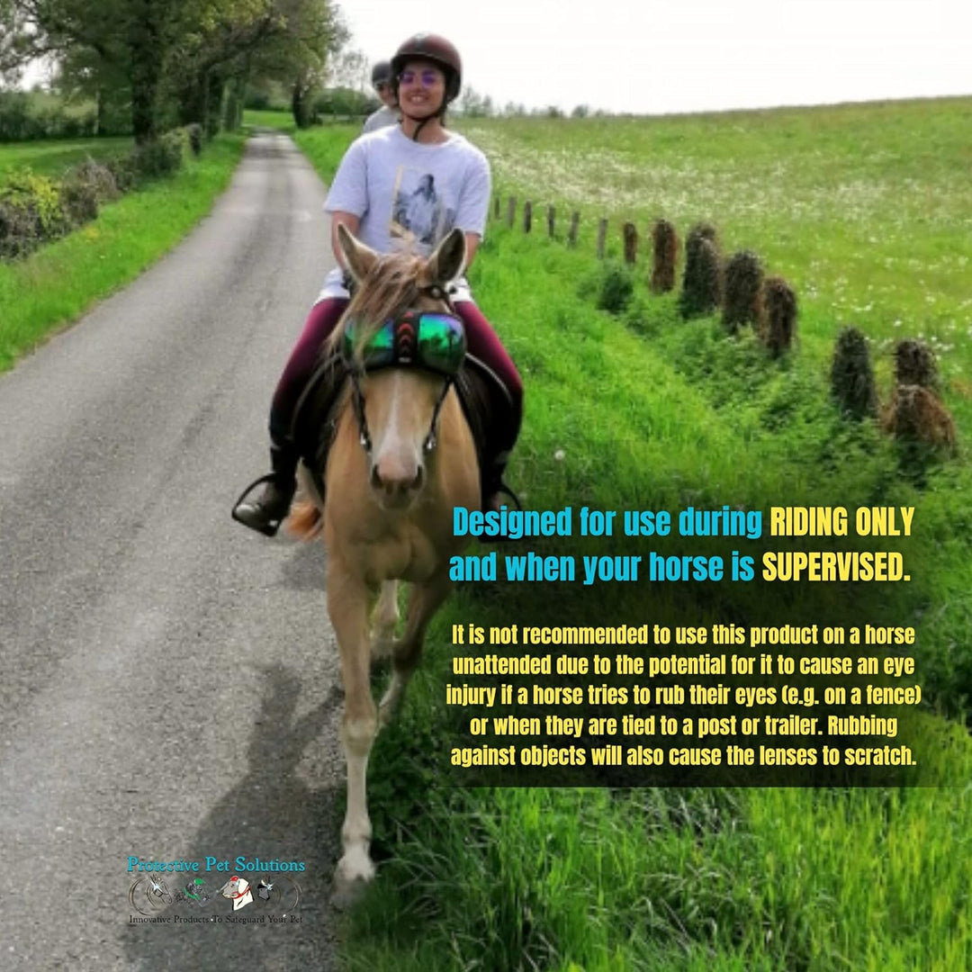 EQUICK Brille Pferd eVysor