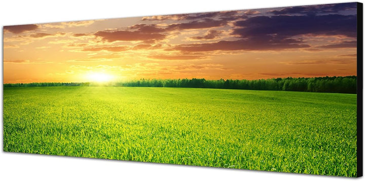 Paul Sinus Art Panoramabild auf Leinwand und Keilrahmen 120x40cm Wiese Feld Sonnenuntergang Wolken