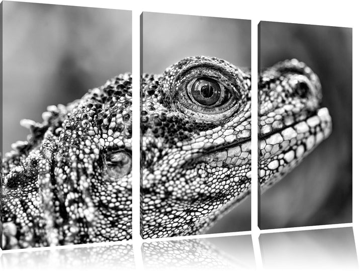 Pixxprint grosser Schuppenwaran als Leinwandbild/Grösse: 3 Teilig (120x80) cm/Wandbild/Kunstdruck/fe