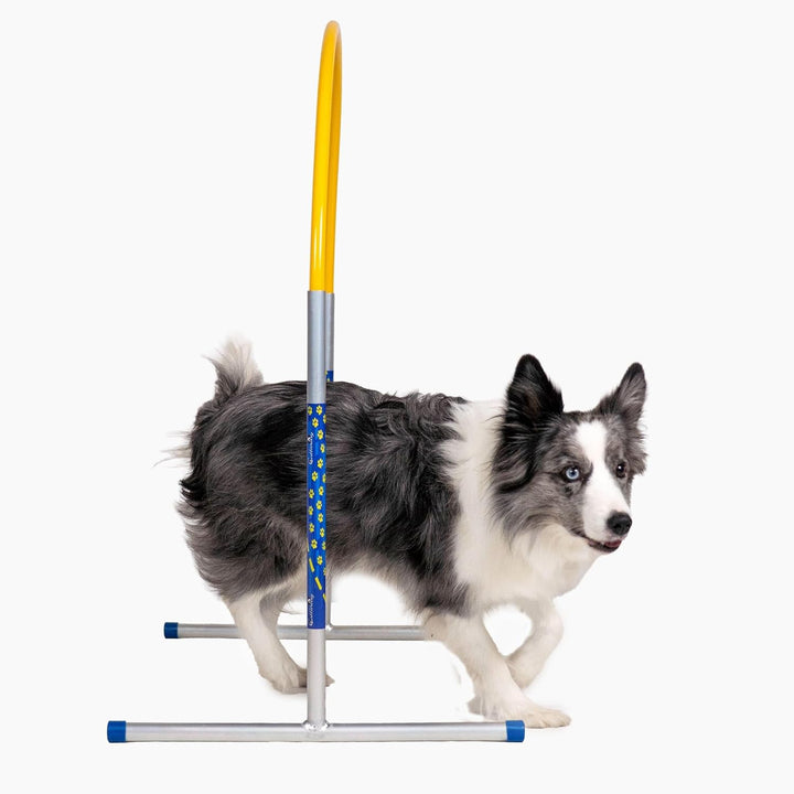 Hoopers Agility Hoops - NADAC Hoopers Agility Hoops ohne Mittelstrebe (Grosspackung) Gelb, Gelb