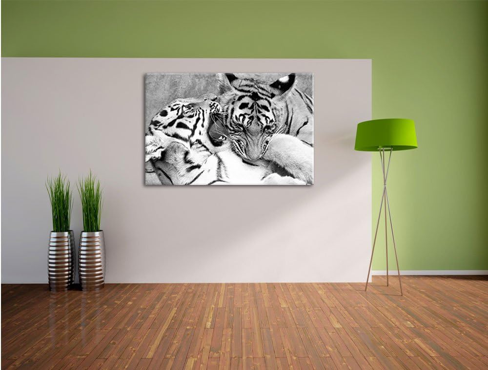 Pixxprint Tiger beim Kämpfen als Leinwandbild/Grösse: 100x70 / Wandbild/Kunstdruck/fertig bespannt,