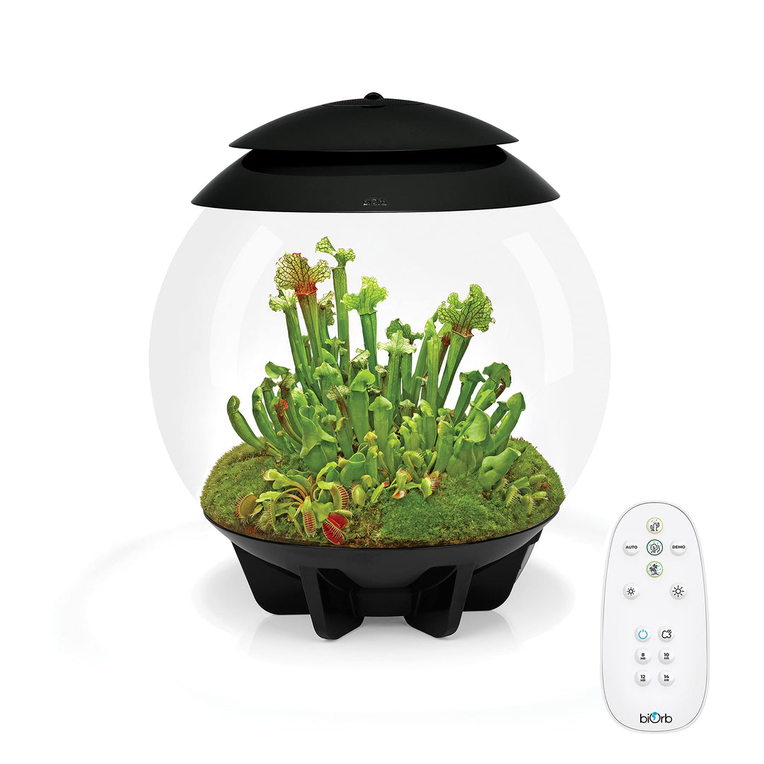 biOrb AIR 30 schwarz - Terrarium mit LED-Beleuchtung / Acryl-Becken zur Pflanzenpflege / für empfind
