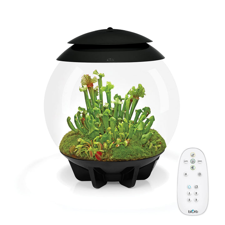 biOrb AIR 30 schwarz - Terrarium mit LED-Beleuchtung / Acryl-Becken zur Pflanzenpflege / für empfind