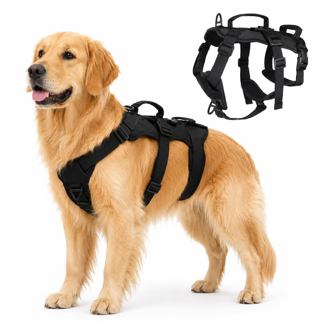 Anti-Zug Hundegeschirr, Schwarz, M | Verstellbare Passform für Kleine und Mittelgrosse Hunde, Weiche