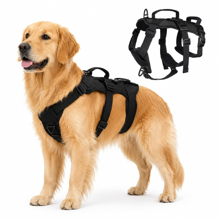 Anti-Zug Hundegeschirr, Schwarz, M | Verstellbare Passform für Kleine und Mittelgrosse Hunde, Weiche