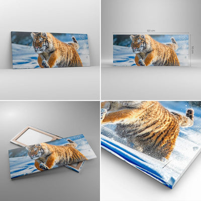 Wandbilder Dekoration Wohnzimmer tiger tier Panorama Bilder auf Leinwand 120x50cm Leinwandbild mit R