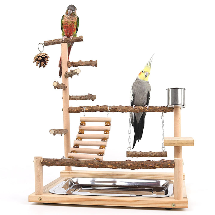 Papagei Vogelspielplatz, Wellensittich Spielzeug, Parrot Playstand, Geeignet für Eclectus, Ara, Kaka