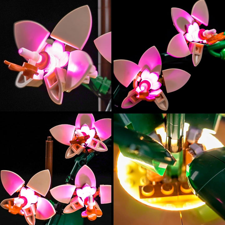 BrickBling Licht-Kit Kompatibel mit Lego 10343 Mini Orchid Botanical Collection Set (Kein Modell), L