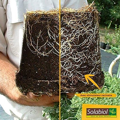 SOLABIOL STIMULATEUR RACINAIRE OSIRYL DOYPACK 10 X 10 ML SOSIRYL100N