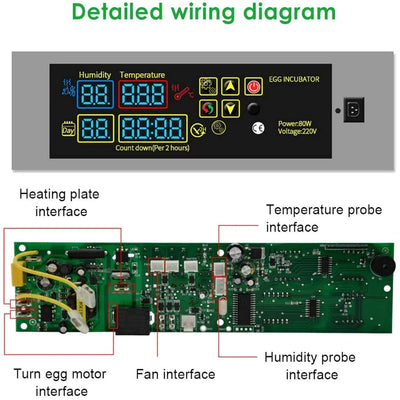 YALIKESI DIY Mini-Inkubator Controller Set Digital Temperatur und Feuchtigkeitsregler für Geflügelei