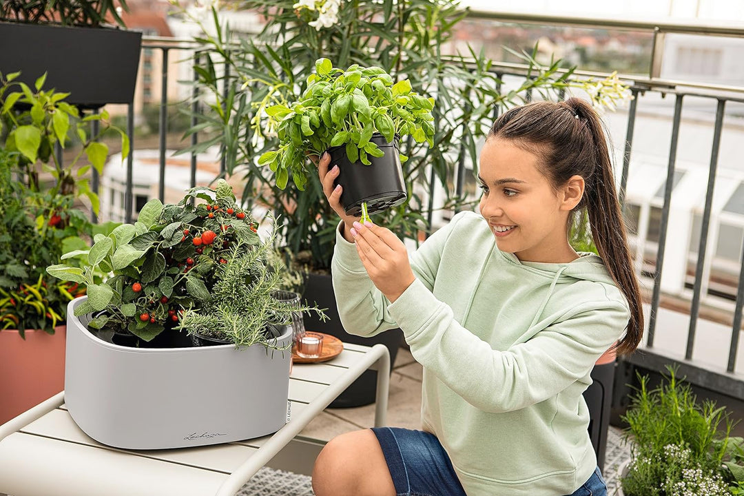 LECHUZA  PILA Color Stick-System lichtgrau 15944 35x35x16,6 cm Lichtgrau, 35x35x16,6 cm Lichtgrau