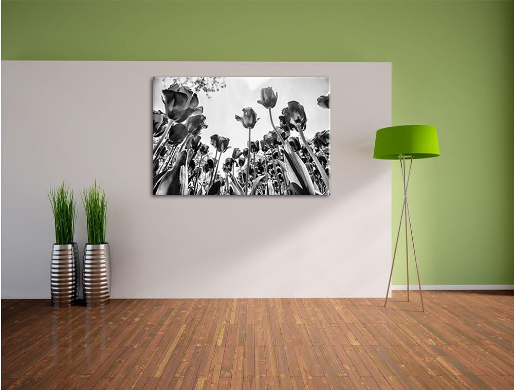 Monocrome, Rosenfeld, Format: 100x70 auf Leinwand, XXL riesige Bilder fertig gerahmt mit Keilrahmen,