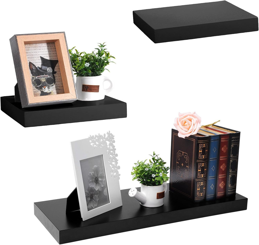 EUGAD Wandregal Schwarz, Schweberegal für Wohnzimmer Bücher/CD/DVD aufstellen, Wandregal klein, 25cm