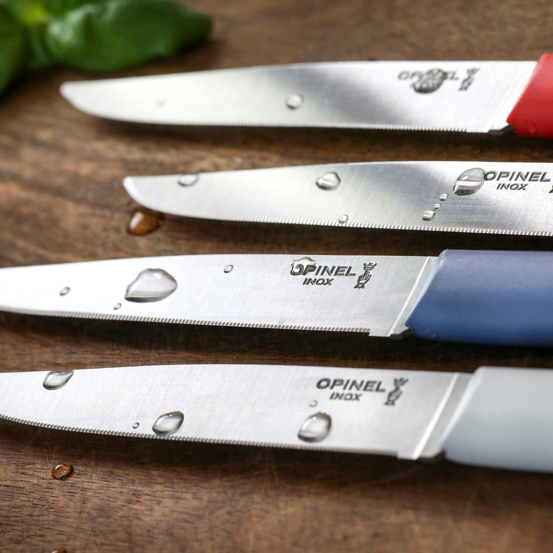 Opinel Bon Appetit+ Glam, 254501 Tafelmesser-Set, Stahl, Mehrfarbig