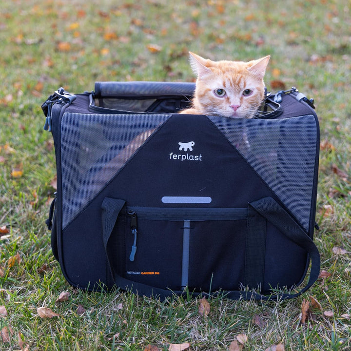 Ferplast Hundebox Voyager Carrier, Transportbox Katze, Hundetasche, verstellbare Griffe und Schulter