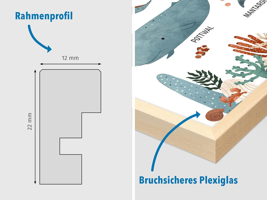 kizibi® Unterwasserwelt Lernposter für Kinderzimmer - Detailliertes DIN A2 Poster des Meeres & Ozean