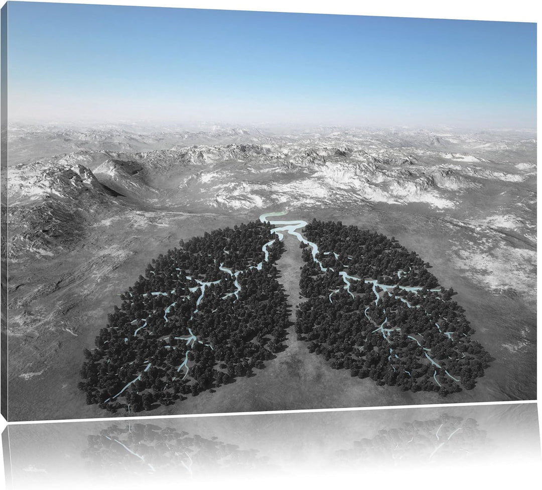 Lunge der Natur aus Bäumen schwarz/weiss Format: 100x70 auf Leinwand, XXL riesige Bilder fertig gera